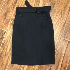 Anthropologie Pencil Skirt